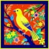 canari