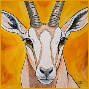 Oryx Orange